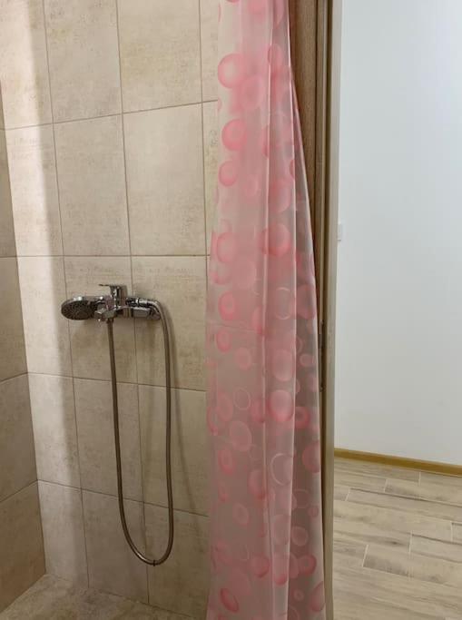Rowing Base Apartment Plovdiv Extérieur photo